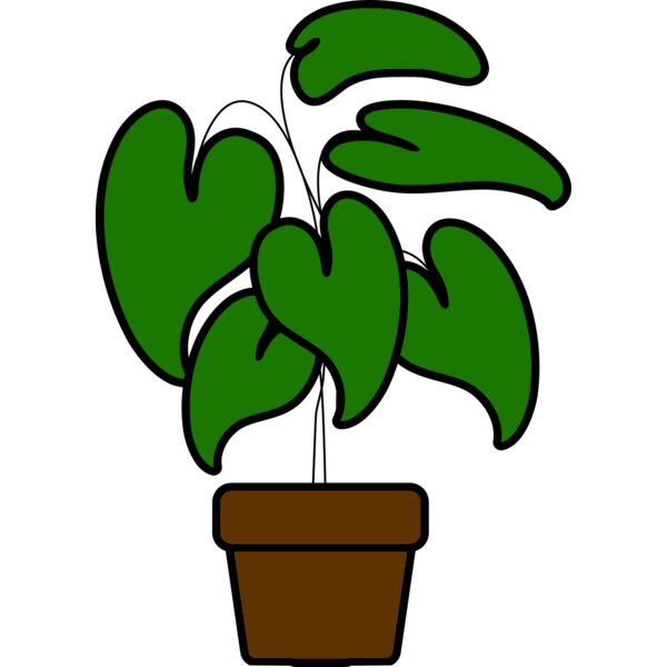 Plant Thumbnail