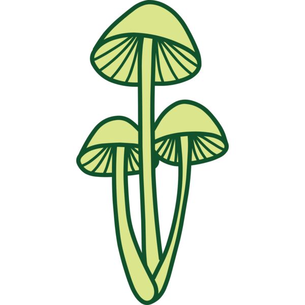 Mushroom 2 Thumbnail