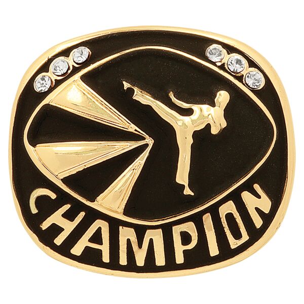 Martial Arts Champion Ring Insert Thumbnail