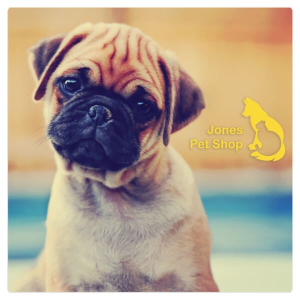 8" x 8" Gloss ChromaLuxe Aluminum Photo Panel Thumbnail