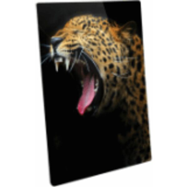 16" x 20" Semi-Gloss ChromaLuxe Aluminum Photo Panel Thumbnail