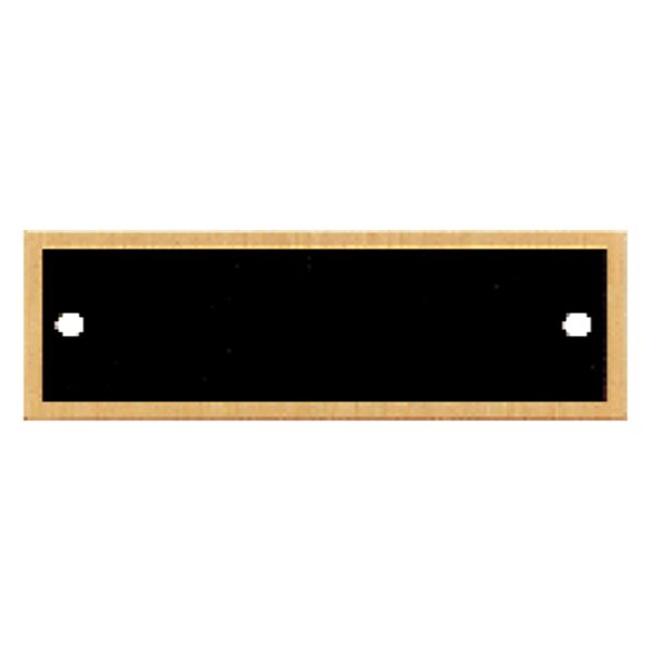 7/8" x 2 3/4" Laserable Brass Plate with Border and Two Holes Thumbnail