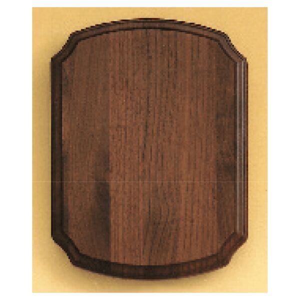 9" x 12" Airflyte American Plaque Thumbnail