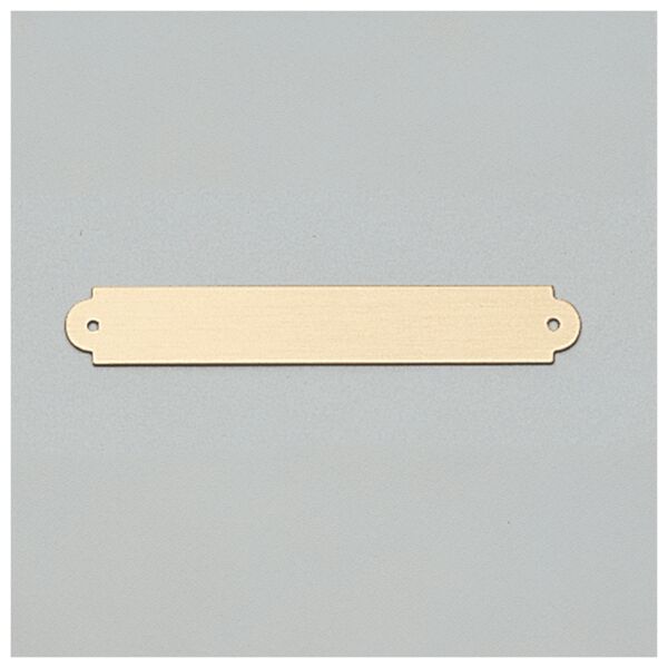 3/8" x 2 1/2" Brushed Brass Plate with Two Holes Thumbnail