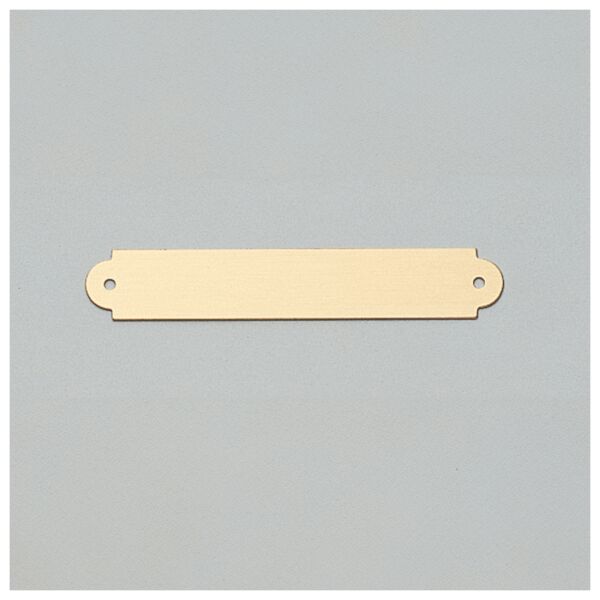 1/2" x 3" Brushed Brass Plate with Two Holes Thumbnail