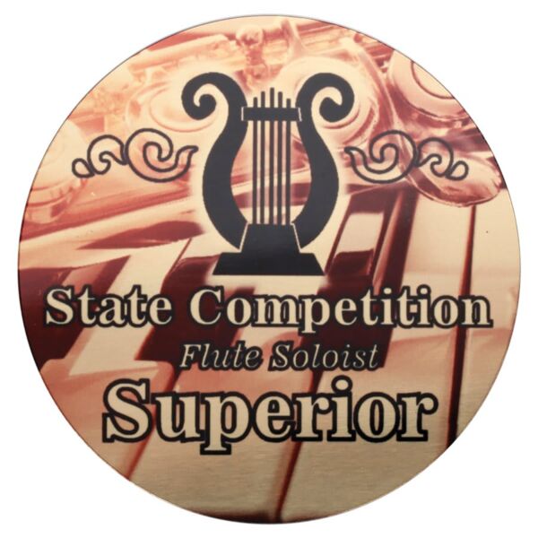 2" Satin Aluminum UltraSub Disc Thumbnail